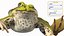 Frog Life Cycle Stages Rigged