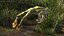 Frog Life Cycle Stages Rigged