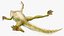 Frog Life Cycle Stages Rigged