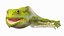 Frog Life Cycle Stages Rigged