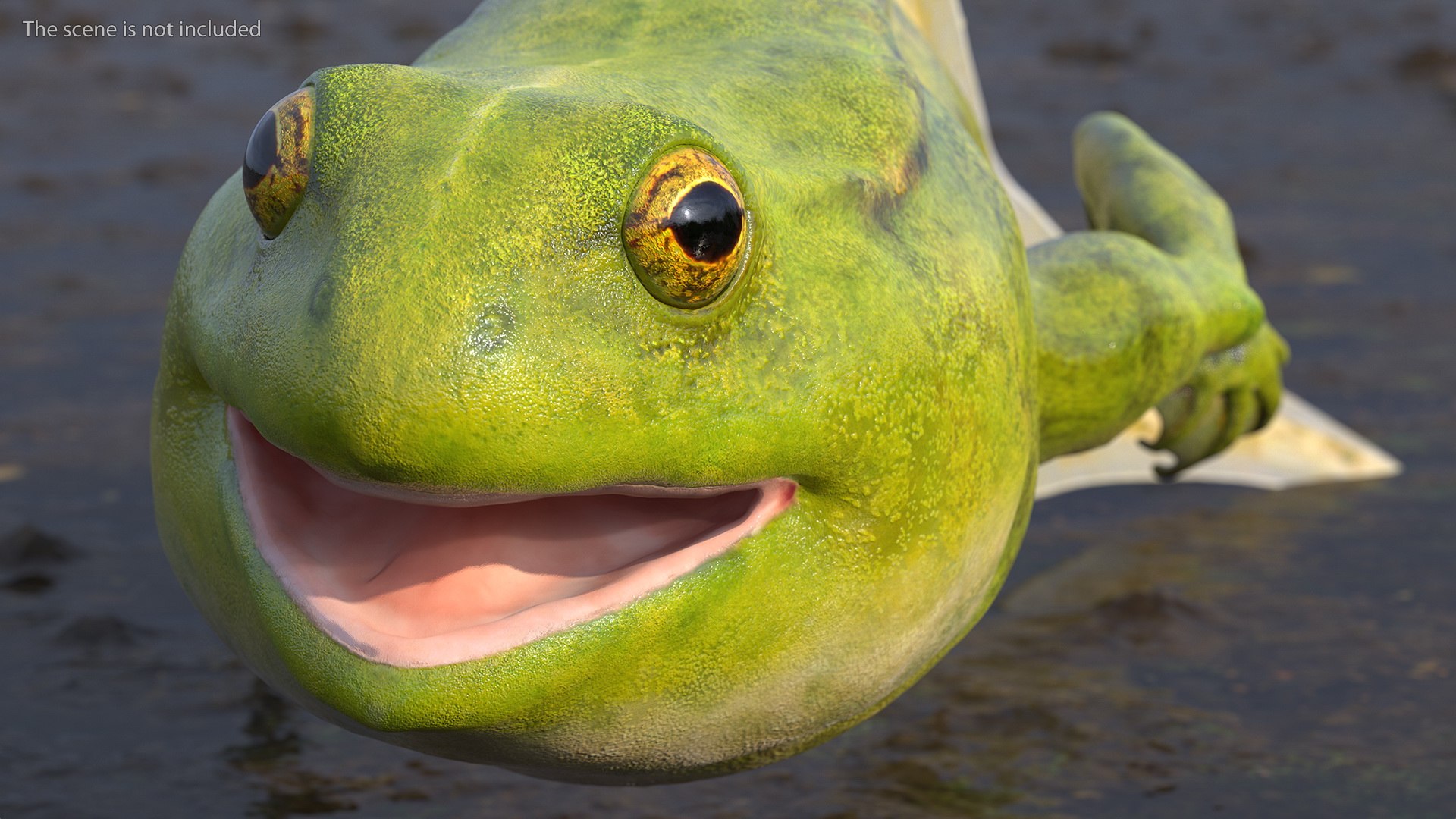 Frog Life Cycle Stages Rigged 3D model https://p.turbosquid.com/ts-thumb/Bb/fmxkNC/WH/froglifecyclestagesrigged3dsmodel029/jpg/1617397846/1920x1080/fit_q87/8992119a08f8039defc9595ca53c085c4ca2ea4a/froglifecyclestagesrigged3dsmodel029.jpg