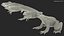 Frog Life Cycle Stages Rigged