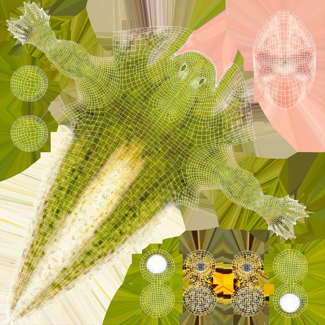 Frog Life Cycle Stages Rigged 3D model https://p.turbosquid.com/ts-thumb/Bb/fmxkNC/a5/froglifecyclestagesrigged3dsmodel069/jpg/1617398121/1920x1080/fit_q87/b0f489c1d14f57ddbc475b00590a84805884aa40/froglifecyclestagesrigged3dsmodel069.jpg