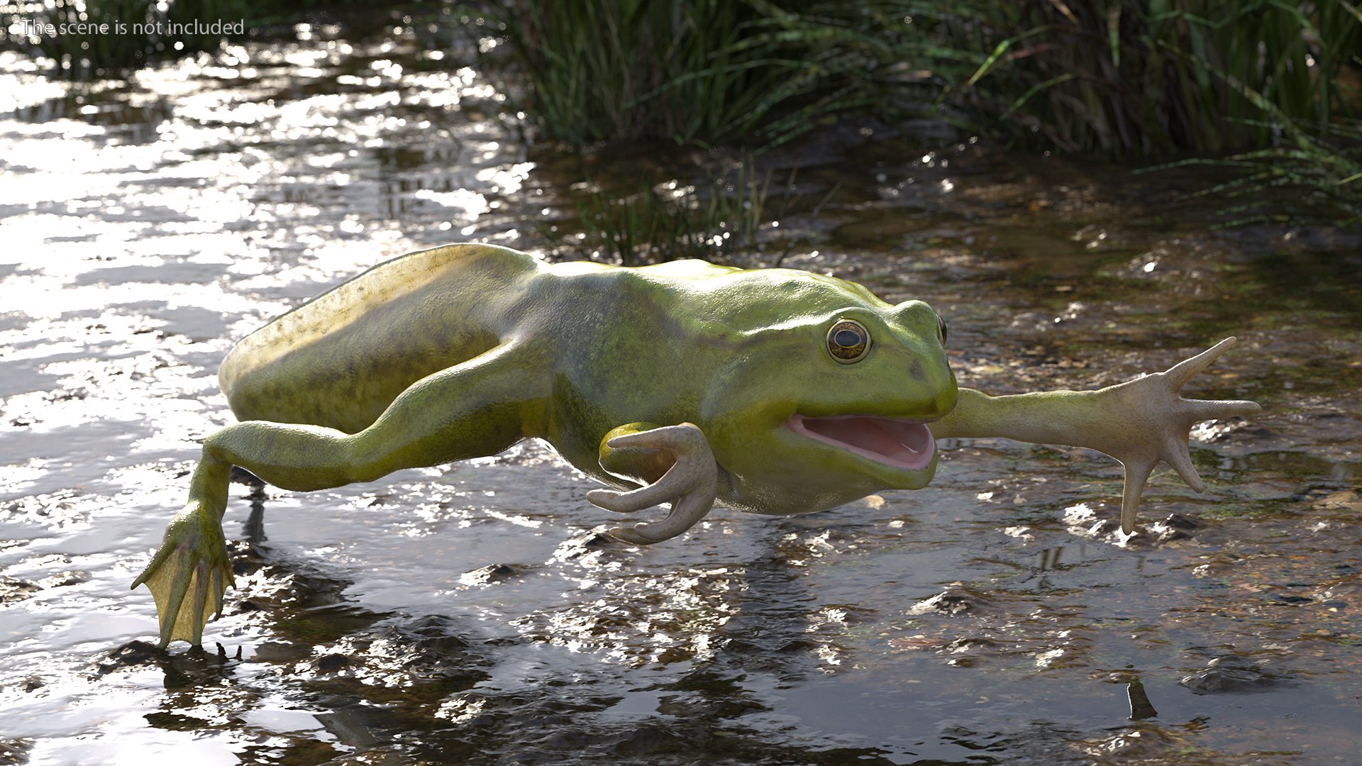Frog Life Cycle Stages Rigged 3D model https://p.turbosquid.com/ts-thumb/Bb/fmxkNC/ci/froglifecyclestagesrigged3dsmodel030/jpg/1617397852/1920x1080/fit_q87/61da7f45907d5db007ff13da8d7da1bf5a837aac/froglifecyclestagesrigged3dsmodel030.jpg