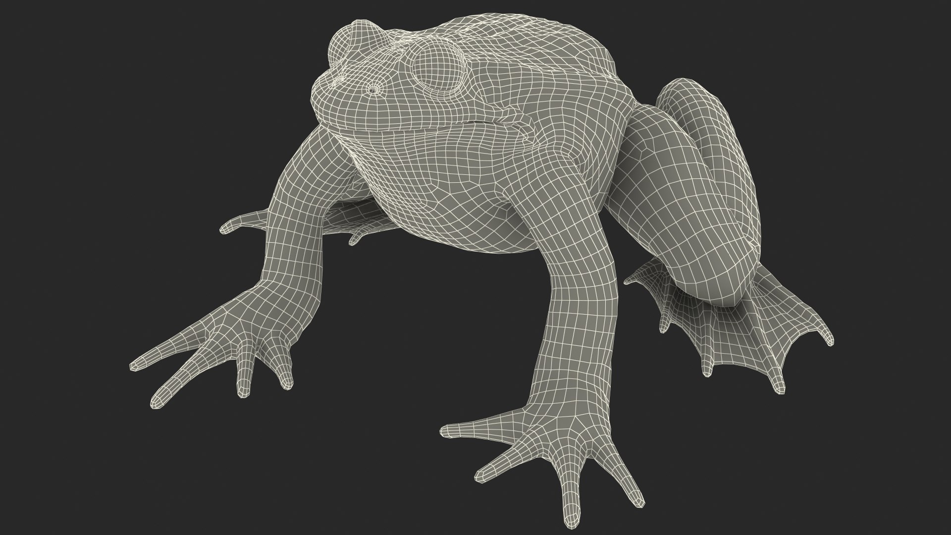 Frog Life Cycle Stages Rigged 3D model https://p.turbosquid.com/ts-thumb/Bb/fmxkNC/fL/froglifecyclestagesrigged3dsmodel086/jpg/1617398235/1920x1080/fit_q87/e0a0ca76160fe38b89e623d032ee9be217c9847b/froglifecyclestagesrigged3dsmodel086.jpg