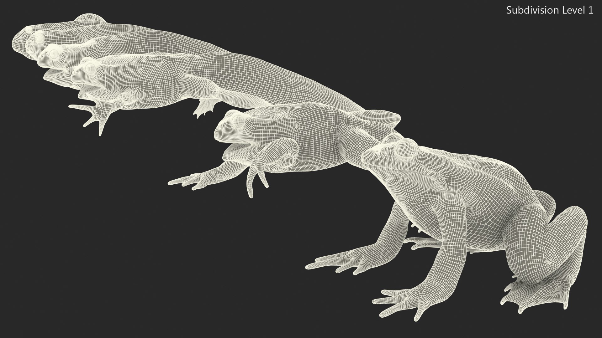 Frog Life Cycle Stages Rigged 3D model https://p.turbosquid.com/ts-thumb/Bb/fmxkNC/id/froglifecyclestagesrigged3dsmodel068/jpg/1617398106/1920x1080/fit_q87/37d11223b5ae66266a10f9f283a517f746946f63/froglifecyclestagesrigged3dsmodel068.jpg