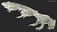 Frog Life Cycle Stages Rigged