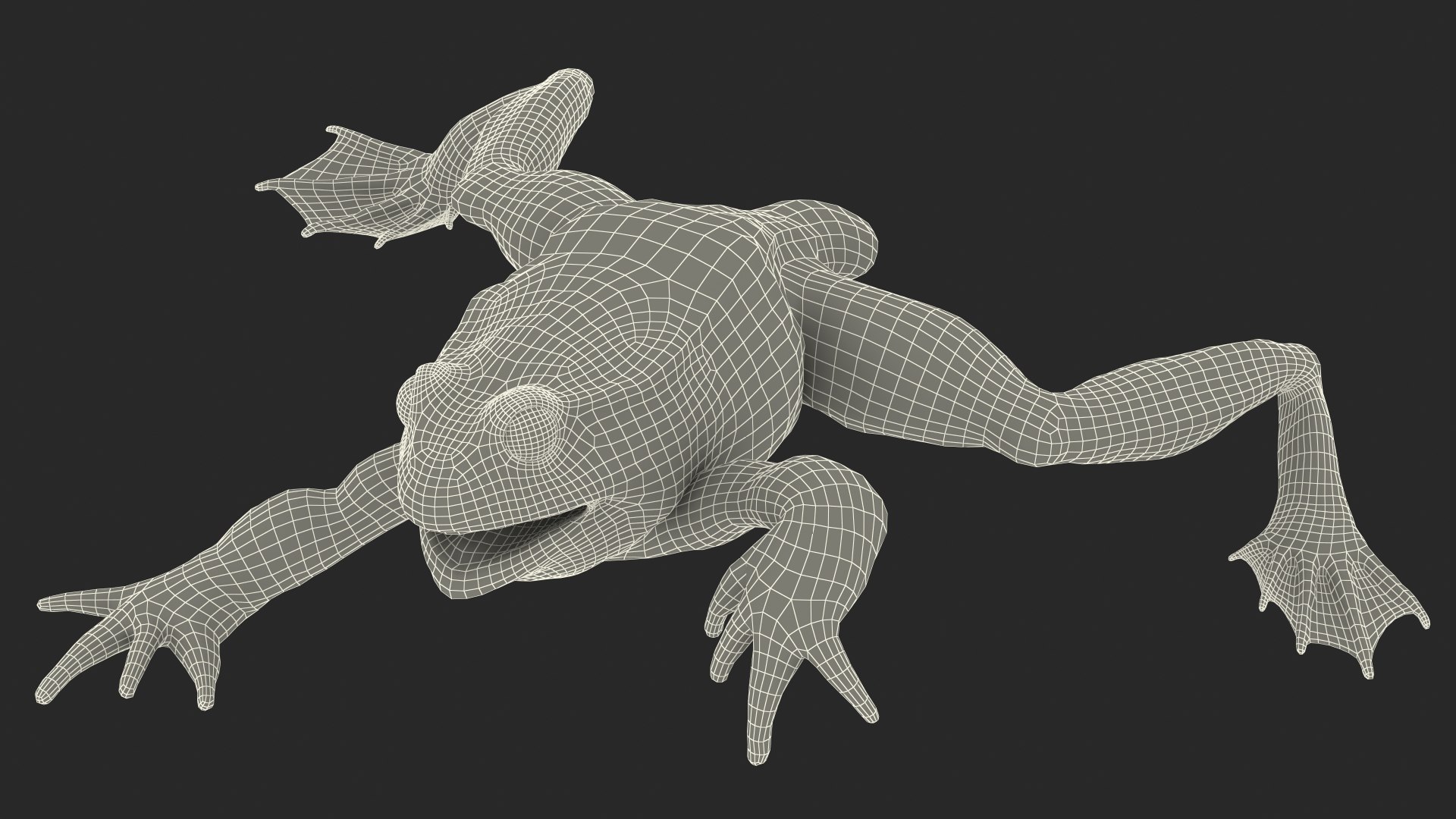 Frog Life Cycle Stages Rigged 3D model https://p.turbosquid.com/ts-thumb/Bb/fmxkNC/jw/froglifecyclestagesrigged3dsmodel084/jpg/1617398223/1920x1080/fit_q87/da862027d63beb2751d77d87a79cc0398a59278c/froglifecyclestagesrigged3dsmodel084.jpg