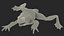Frog Life Cycle Stages Rigged