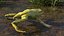 Frog Life Cycle Stages Rigged