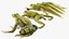 Frog Life Cycle Stages Rigged