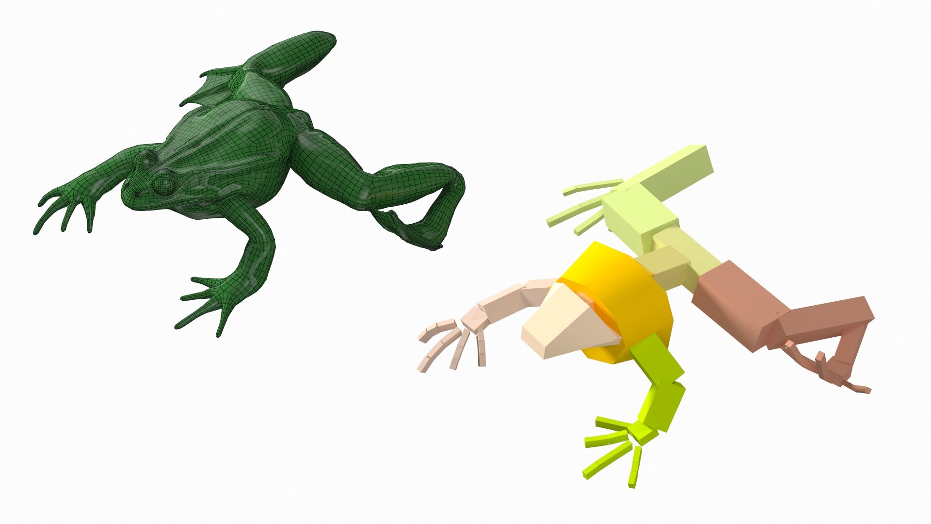 Frog Life Cycle Stages Rigged 3D model https://p.turbosquid.com/ts-thumb/Bb/fmxkNC/xu/froglifecyclestagesrigged3dsmodel008/jpg/1617397722/1920x1080/fit_q87/087b85cd93ef7fcfe71c2aacf8e26eb208fbb52a/froglifecyclestagesrigged3dsmodel008.jpg