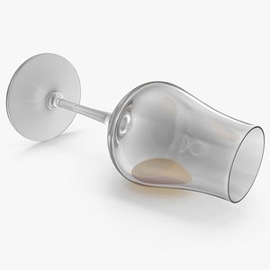 Whisky Tasting Glass Tipped Over