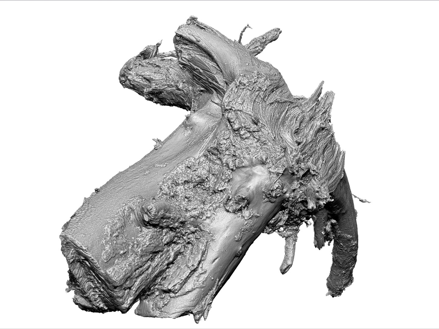 3d Model Root Stump 8k
