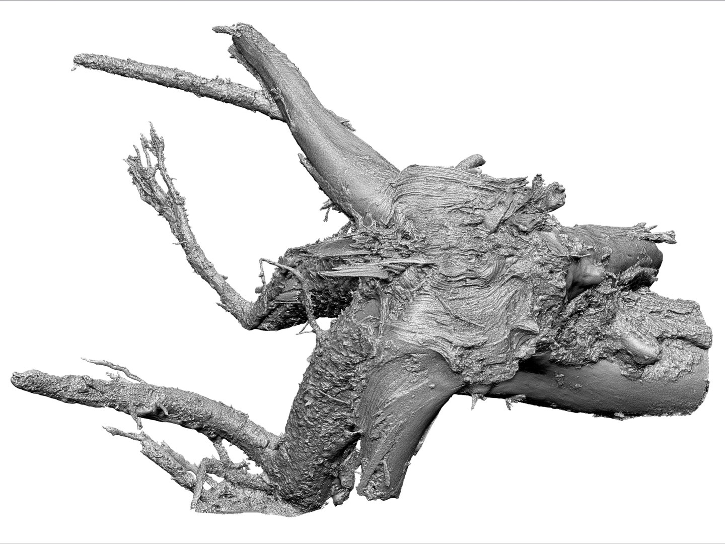 3d Model Root Stump 8k