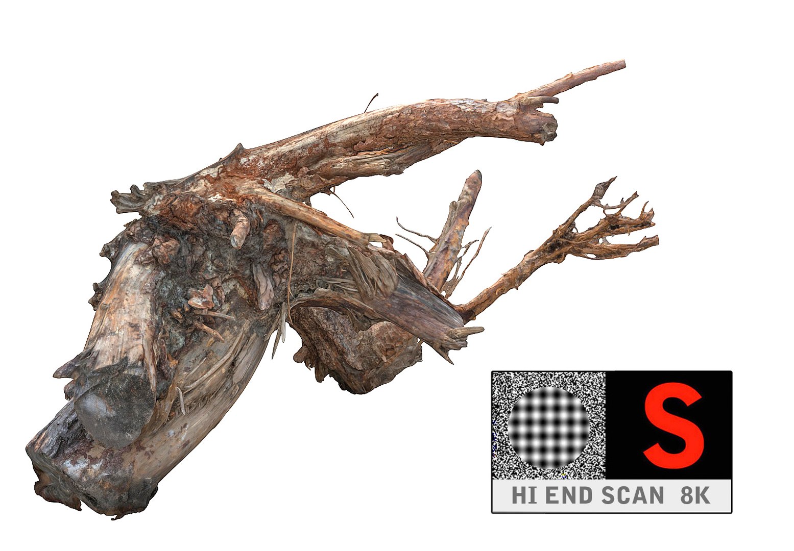 3d Model Root Stump 8k