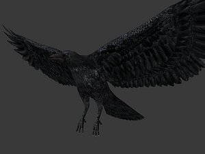 3d crow model