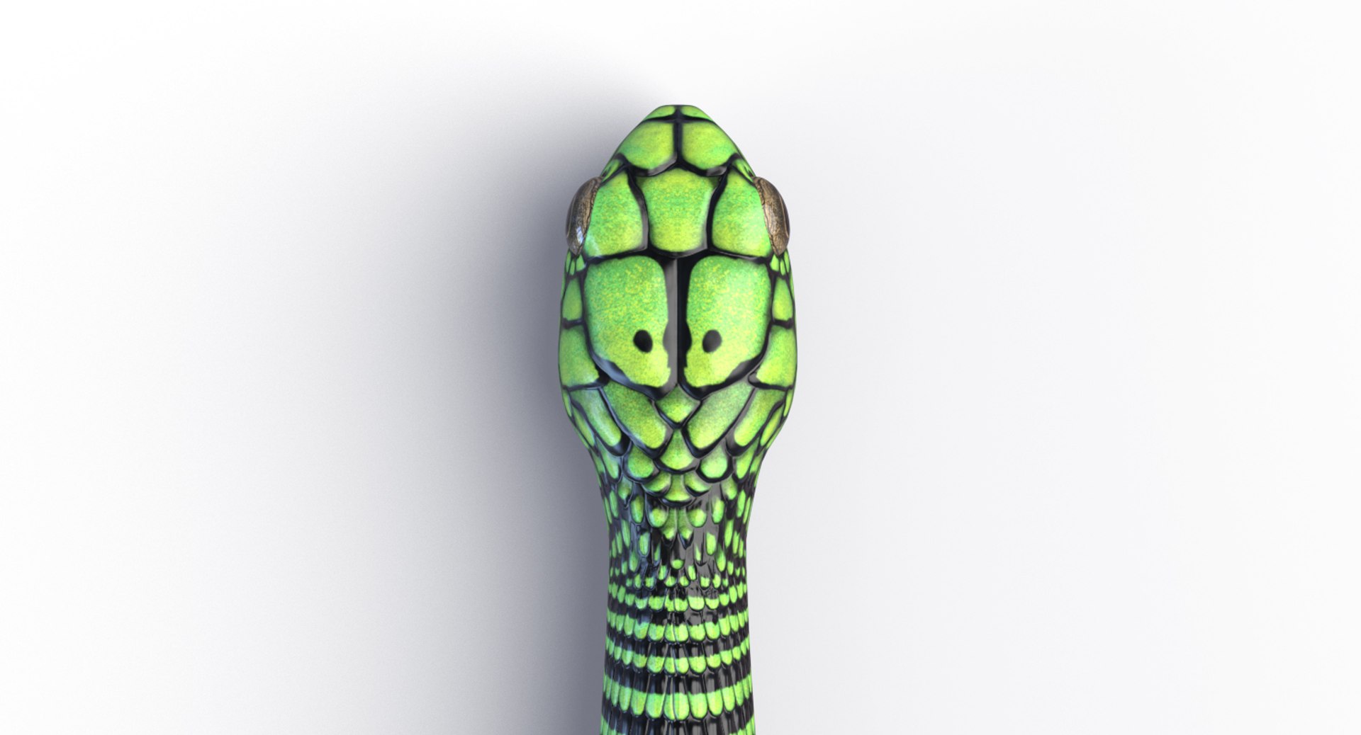 3D Boomslang - 3D Mesh - TurboSquid 1775707