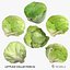 Lettuce Collection 01 - 6 models