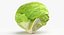 Lettuce Collection 01 - 6 models