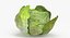 Lettuce Collection 01 - 6 models