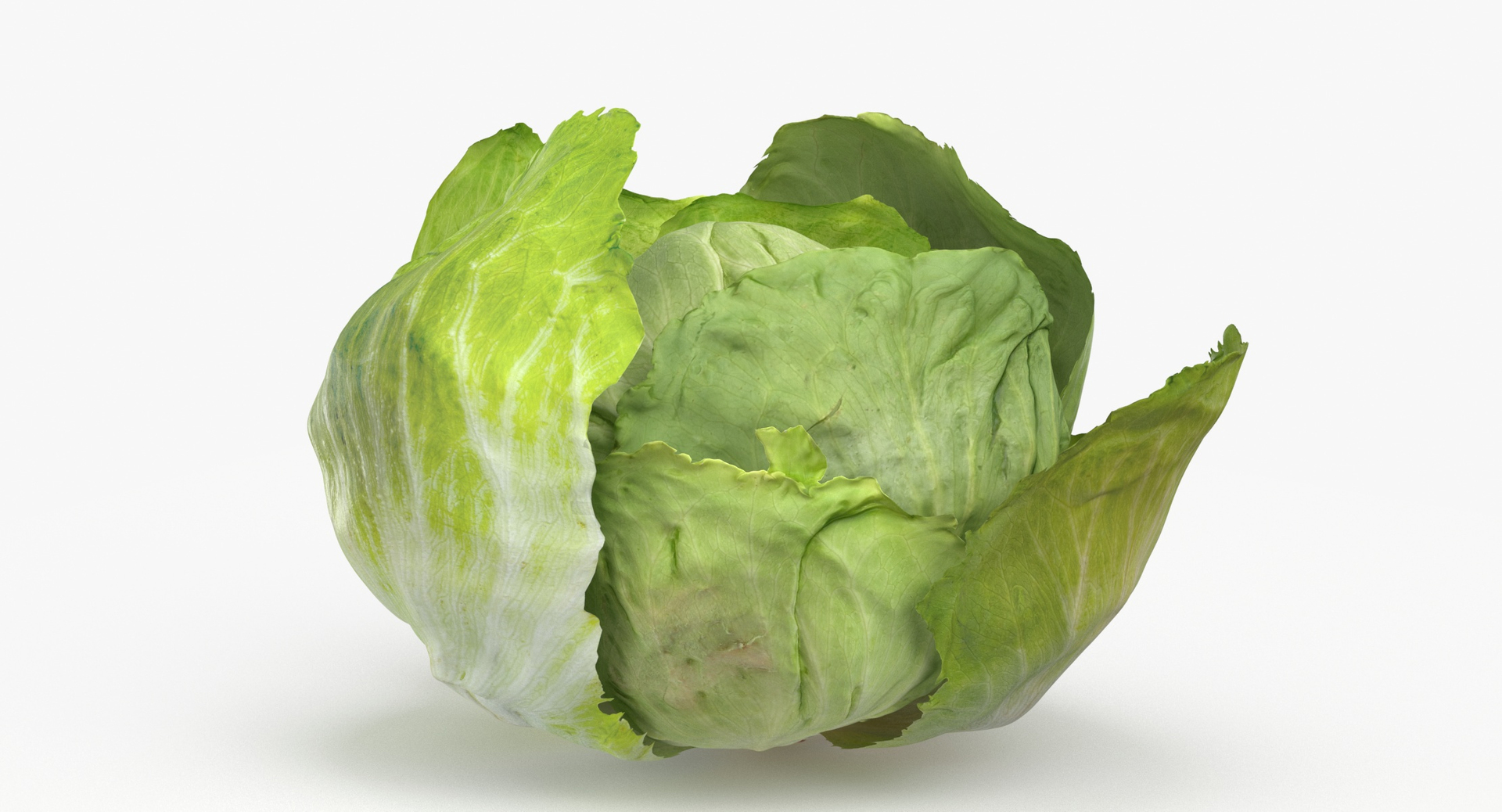 Lettuce Collection 01 - 6 models 3D https://p.turbosquid.com/ts-thumb/Bc/E2r0i4/BB/0000/jpg/1642158375/1920x1080/turn_fit_q99/8b298c272b44d5bc987311451df1caa27bb276f4/0000-1.jpg