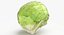Lettuce Collection 01 - 6 models