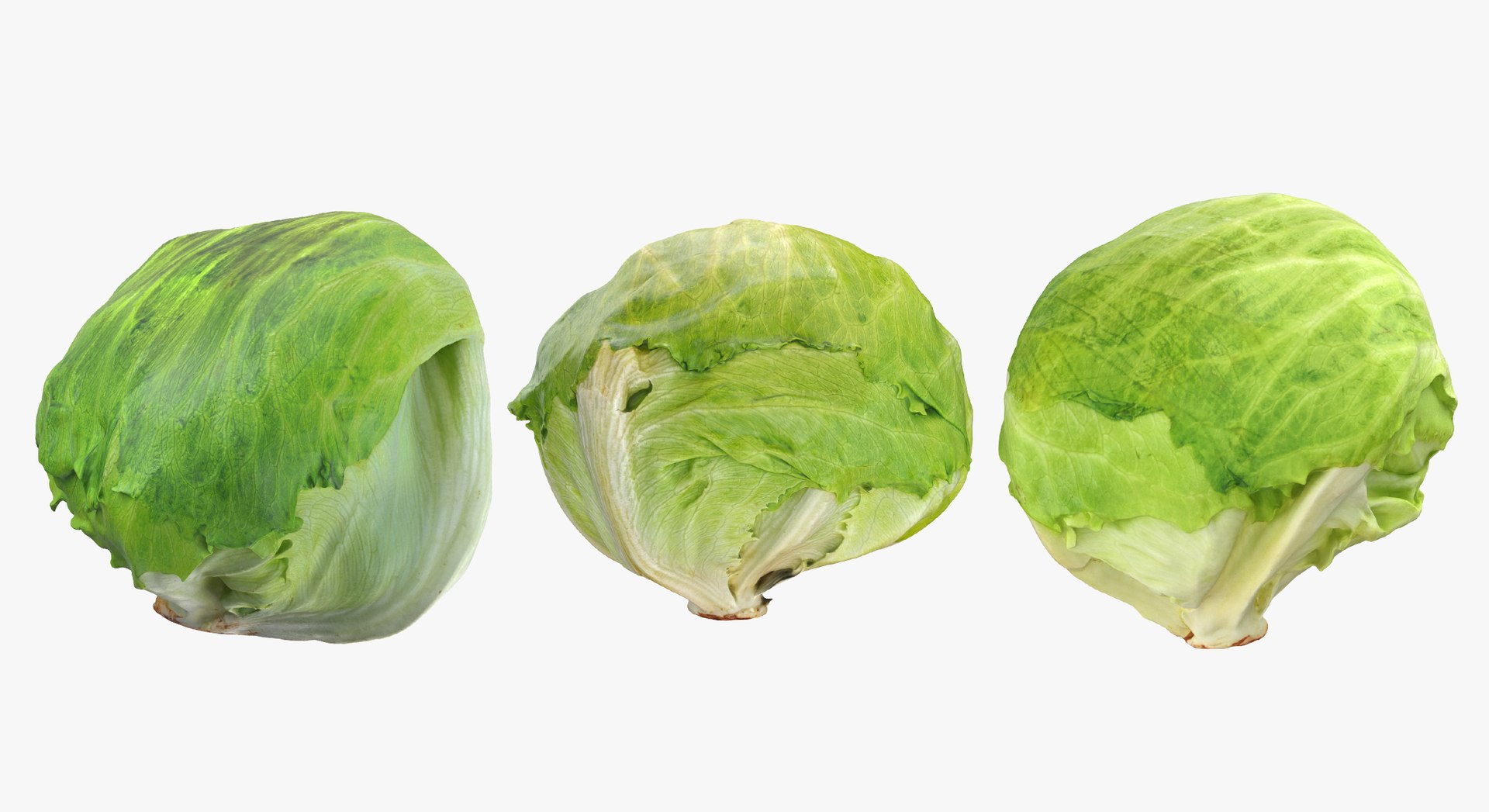 Lettuce Collection 01 - 6 models 3D https://p.turbosquid.com/ts-thumb/Bc/E2r0i4/KD/d3/jpg/1648810900/1920x1080/fit_q87/1f36db415faf781d0c3a2ce9bf75e7d4ce7bd16e/d3.jpg