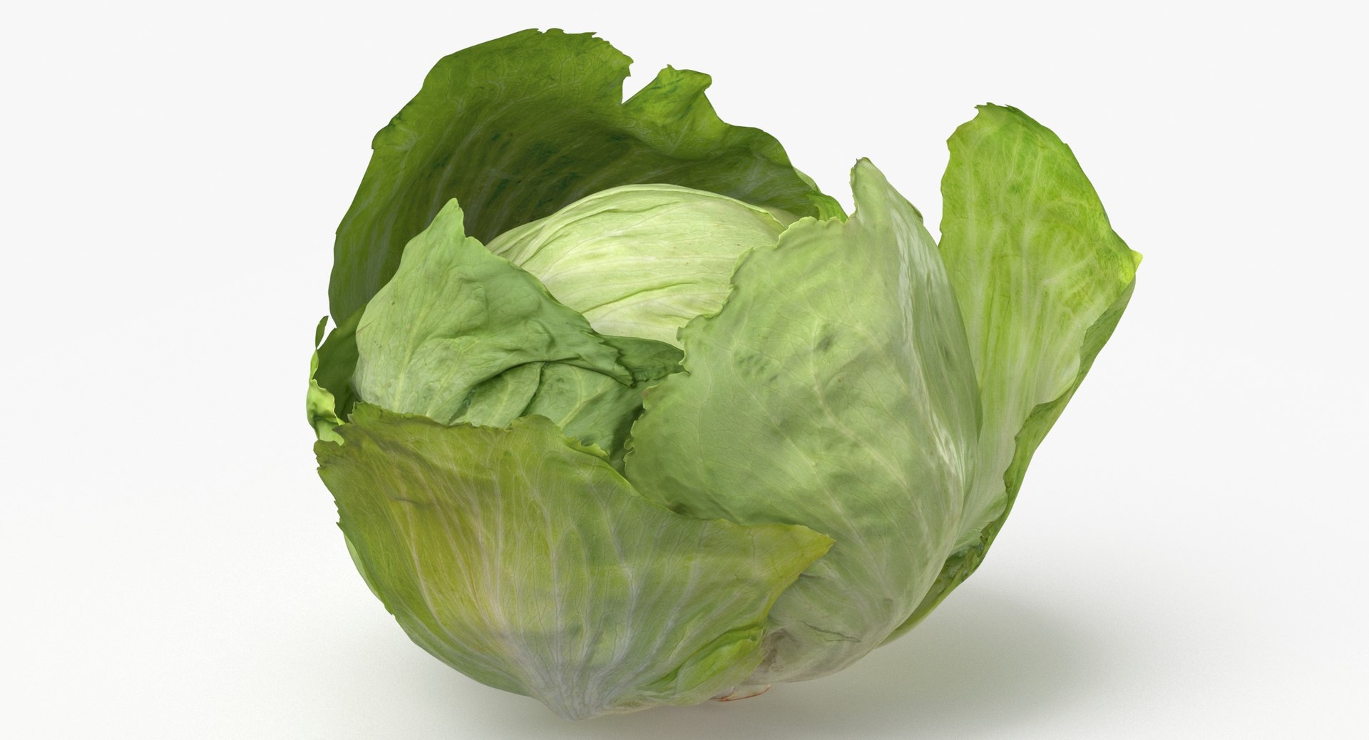 Lettuce Collection 01 - 6 models 3D https://p.turbosquid.com/ts-thumb/Bc/E2r0i4/KU/lettuce_04_open_thumbnail_0003/jpg/1648811159/1920x1080/fit_q87/863b42b720074731d0e5be11b103d04a7bc45496/lettuce_04_open_thumbnail_0003.jpg