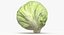 Lettuce Collection 01 - 6 models