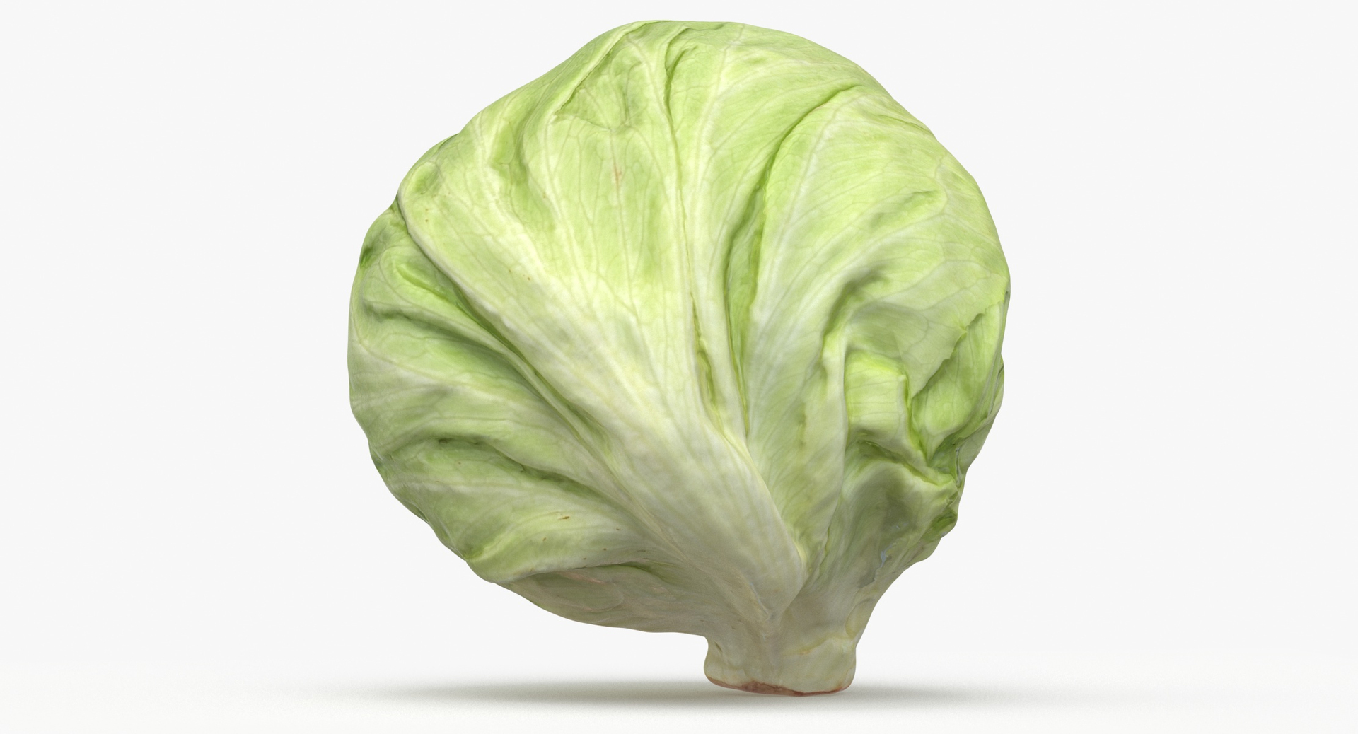 Lettuce Collection 01 - 6 models 3D https://p.turbosquid.com/ts-thumb/Bc/E2r0i4/Mk/0000/jpg/1641917060/1920x1080/turn_fit_q99/bd819548607998aedf4554cef8e2bee0e70e448a/0000-1.jpg