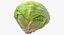 Lettuce Collection 01 - 6 models