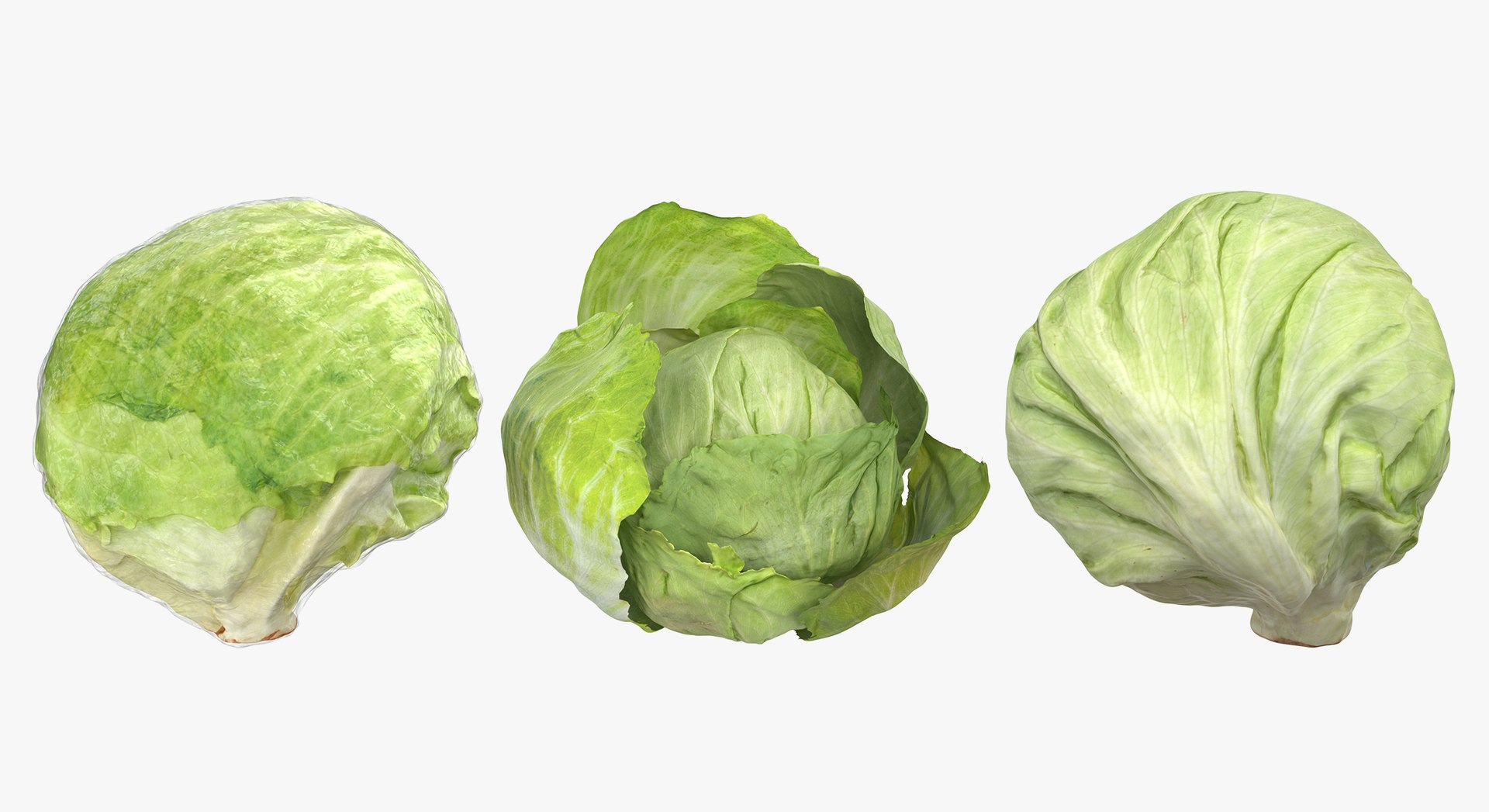 Lettuce Collection 01 - 6 models 3D https://p.turbosquid.com/ts-thumb/Bc/E2r0i4/OR/d5/jpg/1648810899/1920x1080/fit_q87/c3a0ea0ddc032f2271ce6f5e01e33bad365d4b3a/d5.jpg