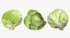 Lettuce Collection 01 - 6 models