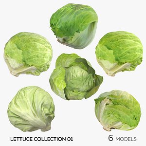 Lettuce Collection 01 - 6 models 3D