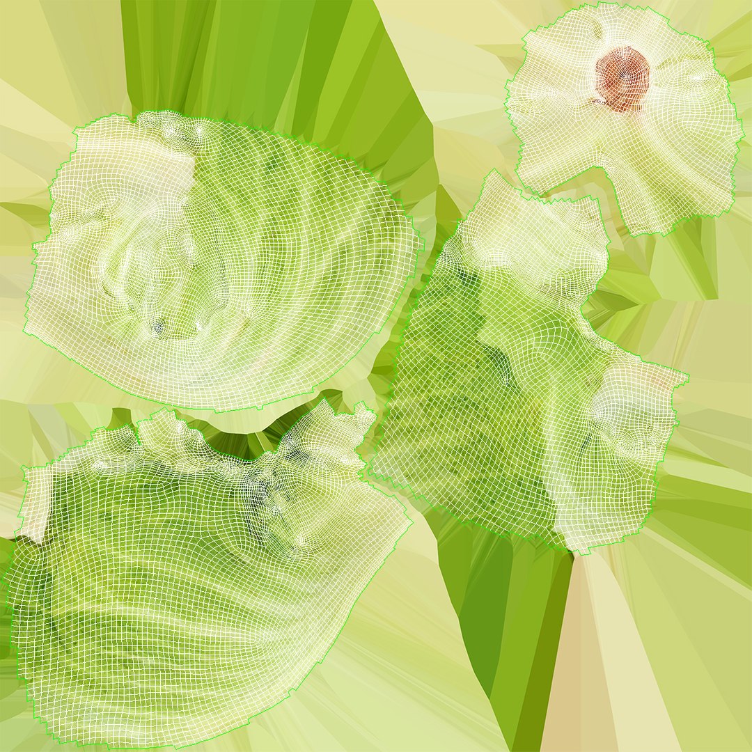 Lettuce Collection 01 - 6 models 3D https://p.turbosquid.com/ts-thumb/Bc/E2r0i4/RN/lettuce_03_uv/jpg/1648811355/1920x1080/fit_q87/80cfa6a33f3544ac7f597770e2e48b9799449c9d/lettuce_03_uv.jpg