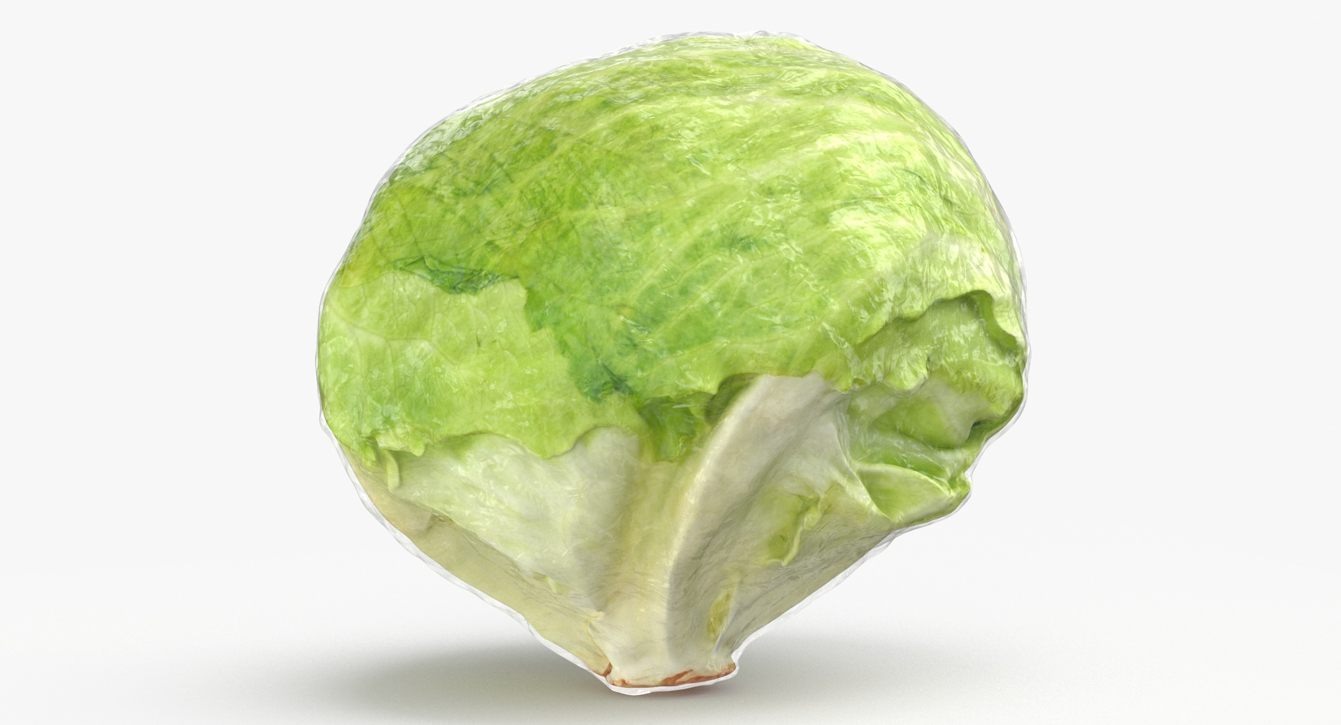 Lettuce Collection 01 - 6 models 3D https://p.turbosquid.com/ts-thumb/Bc/E2r0i4/Sd/0000/jpg/1642419222/1920x1080/turn_fit_q99/5ee9590e0da9e96057d5afd0e796d01214acbf20/0000-1.jpg