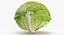 Lettuce Collection 01 - 6 models