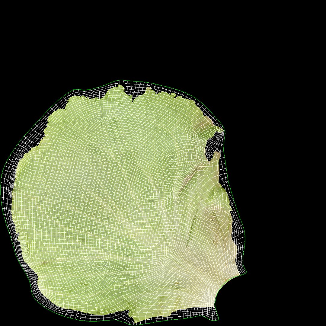 Lettuce Collection 01 - 6 models 3D https://p.turbosquid.com/ts-thumb/Bc/E2r0i4/nK/lettuce_04_open_uv/jpg/1648811427/1920x1080/fit_q87/0bd3de18d73224860530a95f2979302b2364a3f4/lettuce_04_open_uv.jpg