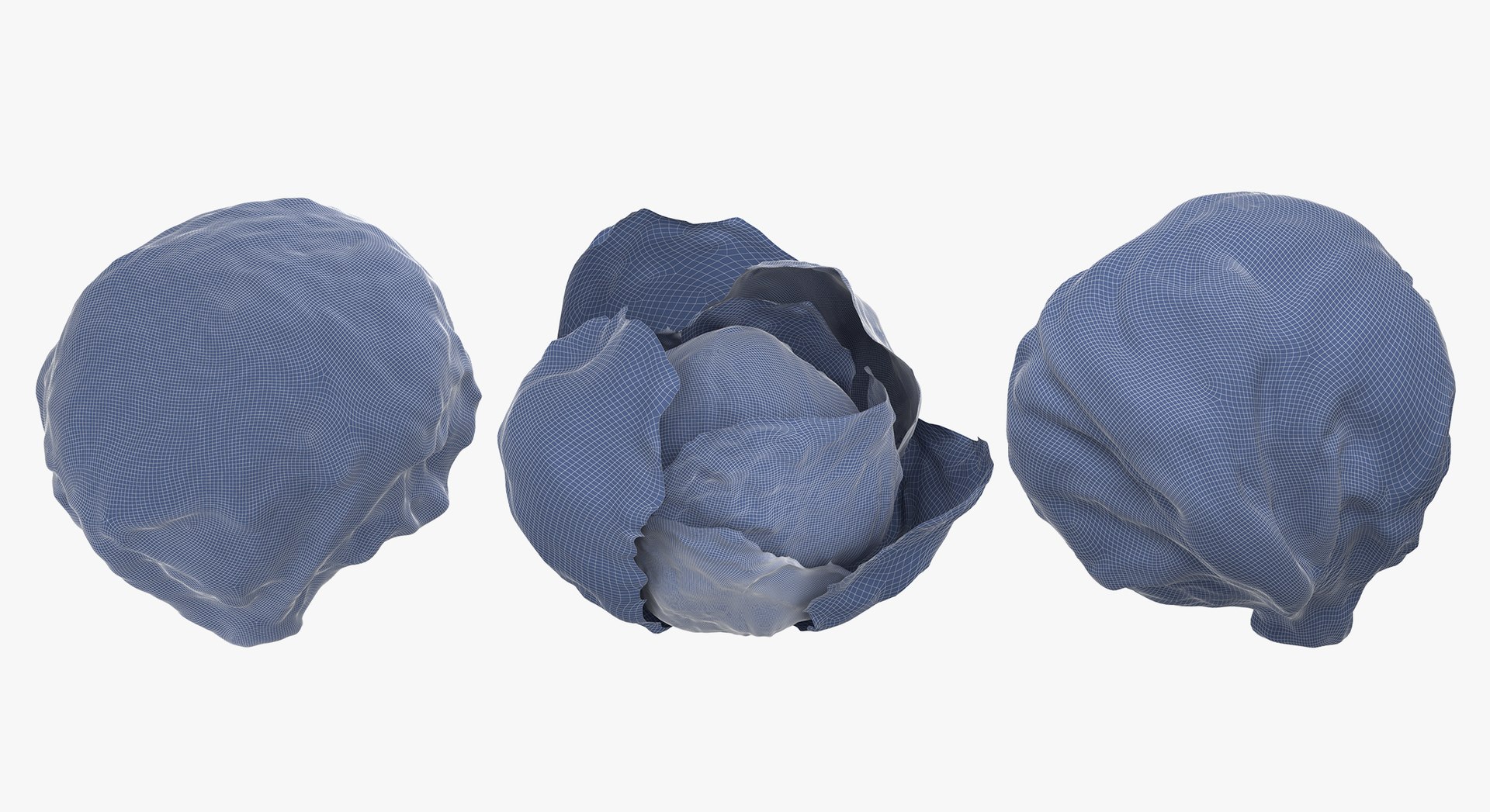 Lettuce Collection 01 - 6 models 3D https://p.turbosquid.com/ts-thumb/Bc/E2r0i4/pK/d6/jpg/1648811199/1920x1080/fit_q87/7ee24db876943247f16a74b9c97898c9006ed0fa/d6.jpg