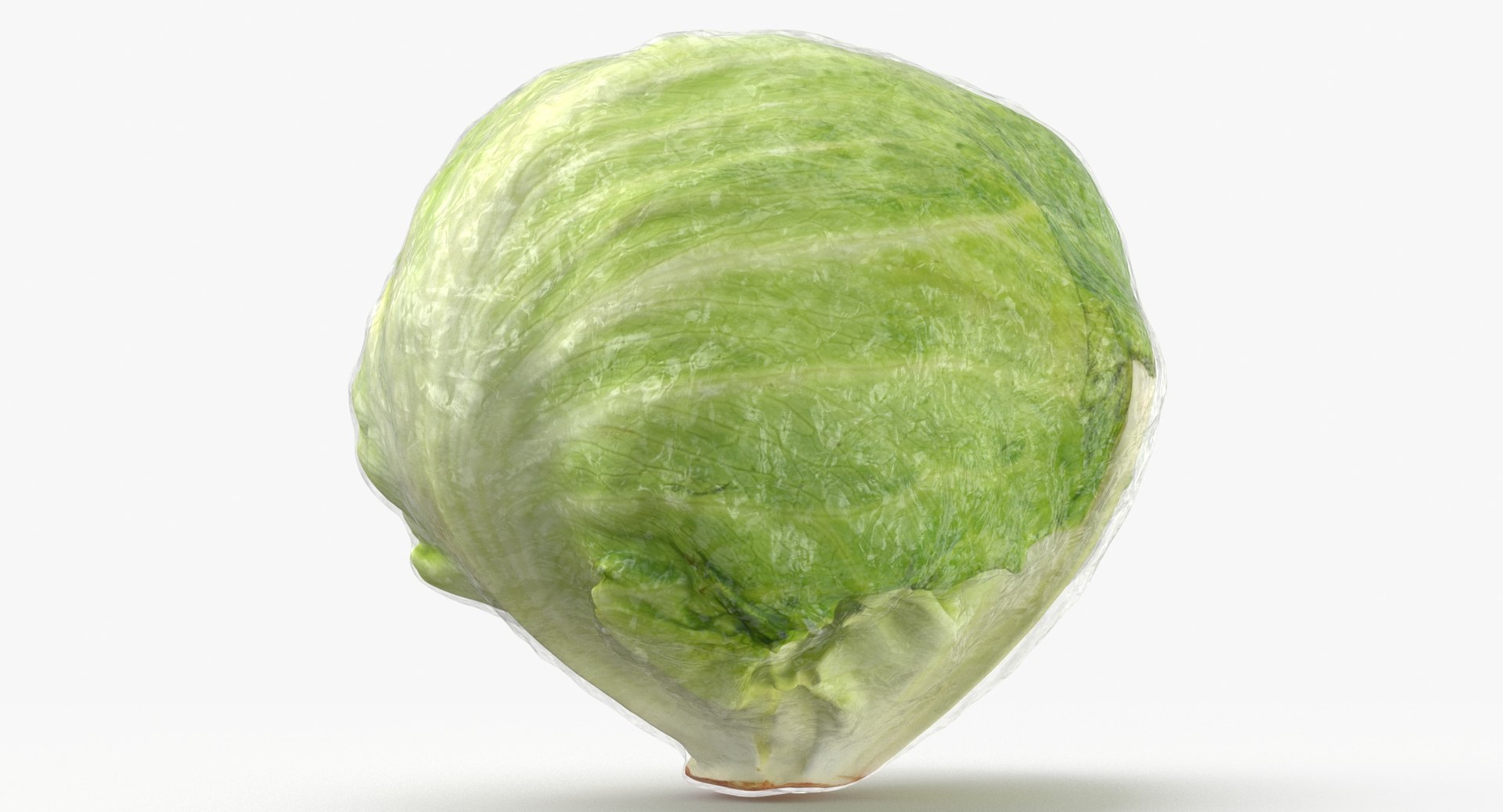 Lettuce Collection 01 - 6 models 3D https://p.turbosquid.com/ts-thumb/Bc/E2r0i4/r6/lettuce_03_with_wrap_thumbnail_0003/jpg/1648811092/1920x1080/fit_q87/98b4930278134c4f2d74b89eaa958cdc75411878/lettuce_03_with_wrap_thumbnail_0003.jpg