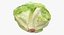 Lettuce Collection 01 - 6 models