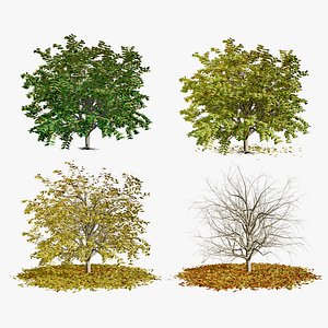 Dynamic Tree 3D Asset 3D