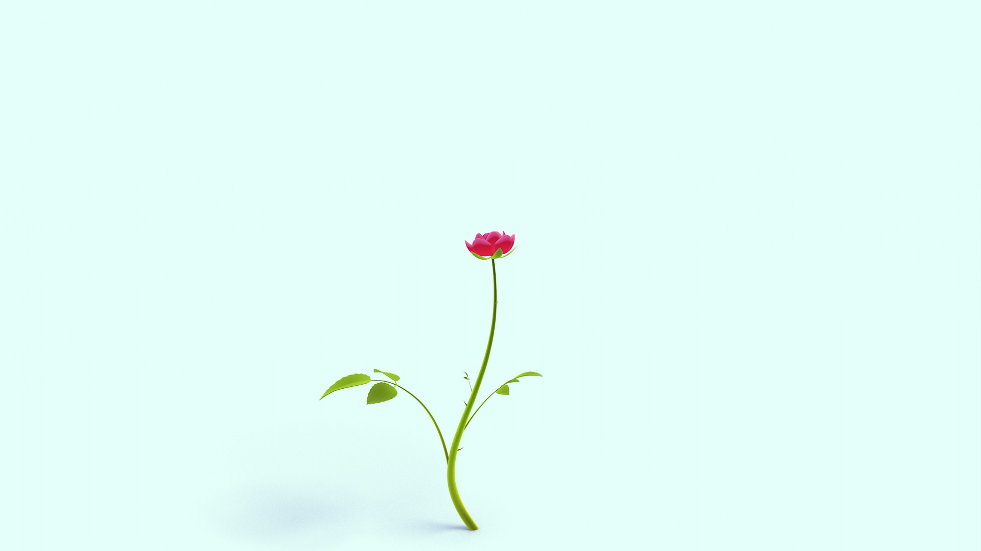 rose growing 3D https://p.turbosquid.com/ts-thumb/Bc/OPqehg/Pc/rosegrowing_3/jpg/1726179927/1920x1080/fit_q87/d19f26f504b430013c492641c7d029e36378a99d/rosegrowing_3.jpg