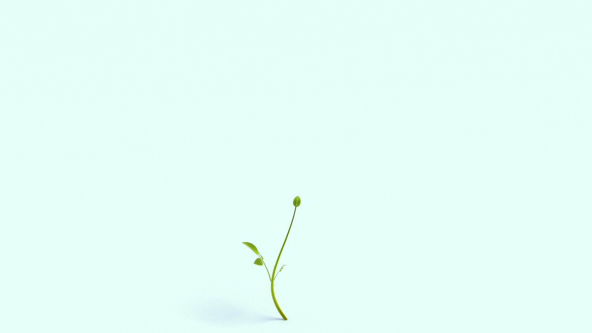 rose growing 3D https://p.turbosquid.com/ts-thumb/Bc/OPqehg/g6/rosegrowing_2/jpg/1726179926/1920x1080/fit_q87/3a91bda39ba90cf376e7d46d0352f11b261753c1/rosegrowing_2.jpg