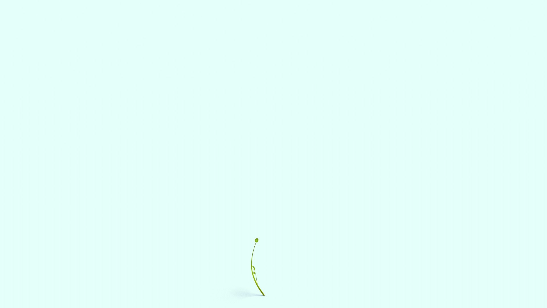 rose growing 3D https://p.turbosquid.com/ts-thumb/Bc/OPqehg/kx/rosegrowing_1/jpg/1726179925/1920x1080/fit_q87/5a5e96f8aabc15c87d05b373a56717c8ee694ea6/rosegrowing_1.jpg