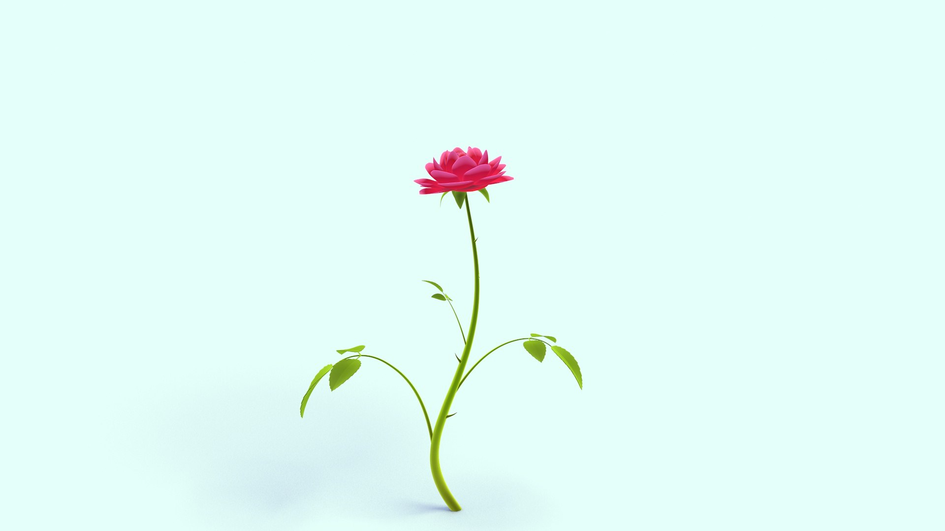 rose growing 3D https://p.turbosquid.com/ts-thumb/Bc/OPqehg/v0/rosegrowing_4/jpg/1726179927/1920x1080/fit_q87/7773e6df5acc29634936f97e4c284df248a3e5ef/rosegrowing_4.jpg