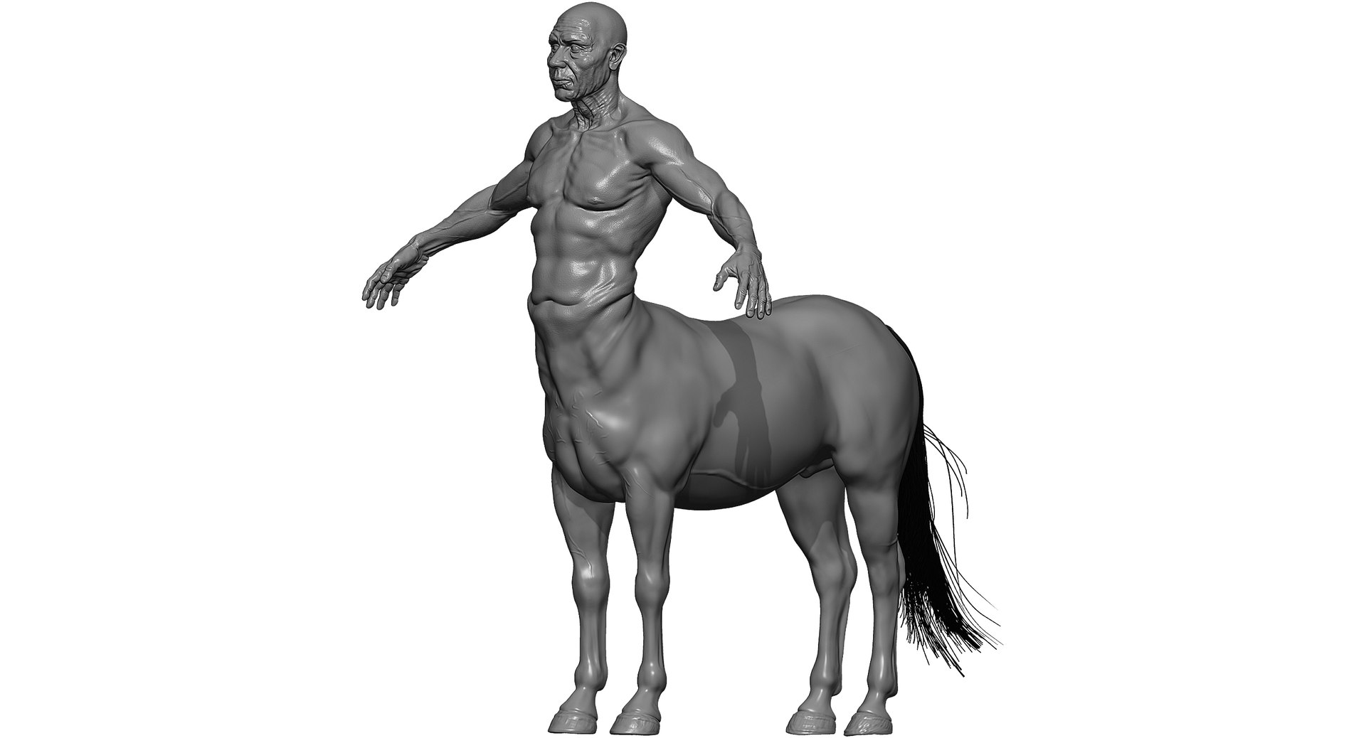 3D centaur ornatrix hair model https://p.turbosquid.com/ts-thumb/Bc/QouW9q/4bEamaj0/z3/jpg/1526830321/1920x1080/fit_q87/1f9a0b1d261e988a92e4e49fcb0ab4db7e63cc47/z3.jpg