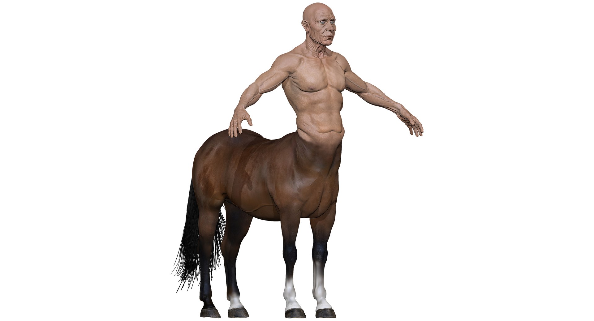 3D centaur ornatrix hair model https://p.turbosquid.com/ts-thumb/Bc/QouW9q/bfl8j56k/z2/jpg/1526830221/1920x1080/fit_q87/f4eaad7e347852f3ac4f5666ead994b9be9831cf/z2.jpg