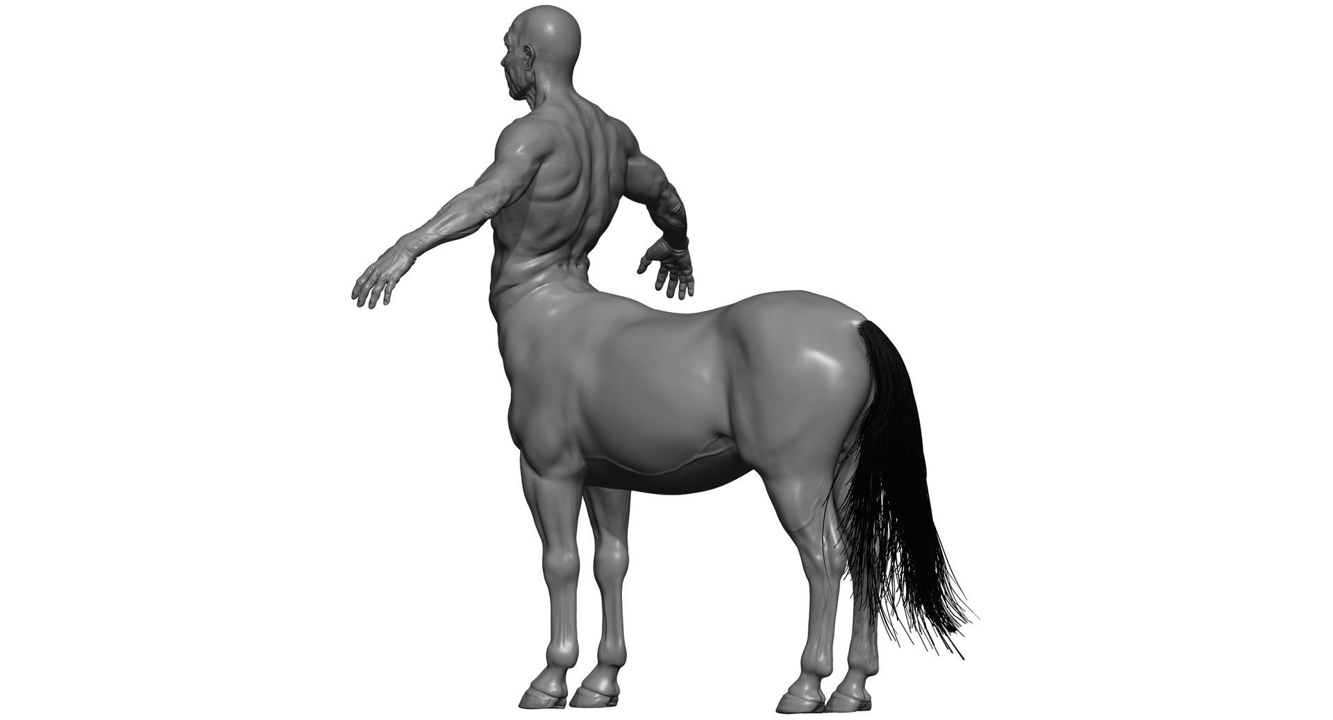 3D centaur ornatrix hair model https://p.turbosquid.com/ts-thumb/Bc/QouW9q/gGwBVkMr/z5/jpg/1526830407/1920x1080/fit_q87/dca710b7c4315d8239121e856716c81e5d8454d9/z5.jpg